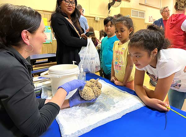 Erin Cekovich, left, points to human brain as three children listen. A woman holding a plastic bag full of booklets stands next to the children.