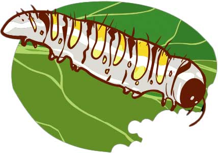A stylized image of a butterfly larva perched atop a partially chewed leaf.