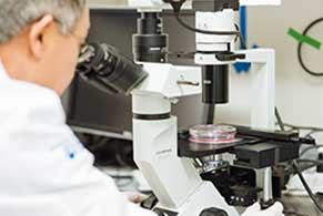 Researcher in a laboratory looking through a microscope.