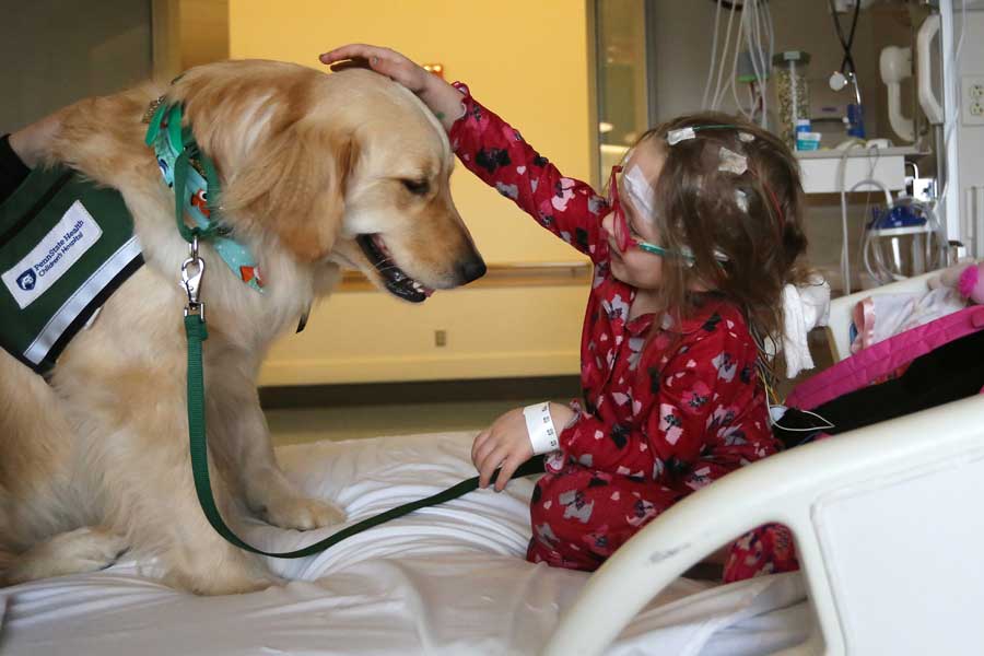 Young pediatric patient sitting on hospital bed petting facility dog.