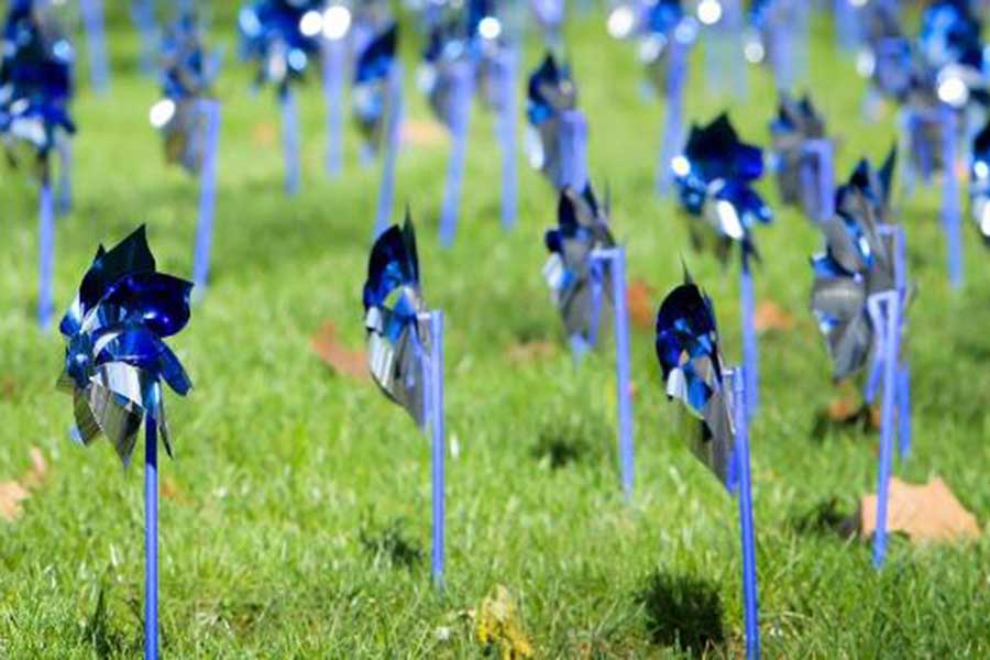Blue and silver pinwheels aligned in a field of grass