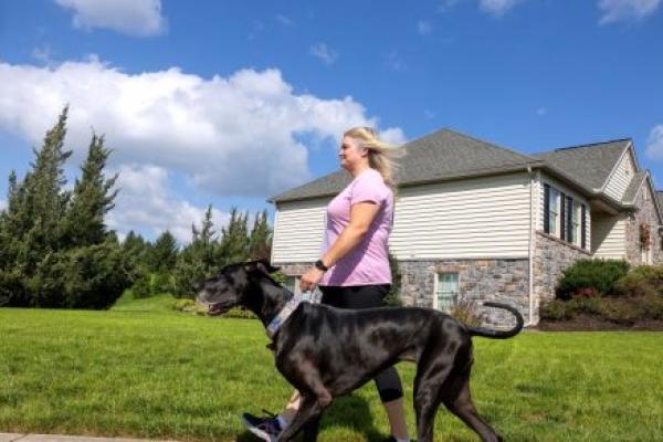 A woman walks left on a sidewalk holding her Great Dane by the collar. She is wearing a T-shirt and leggings. Behind her is a house and grass.