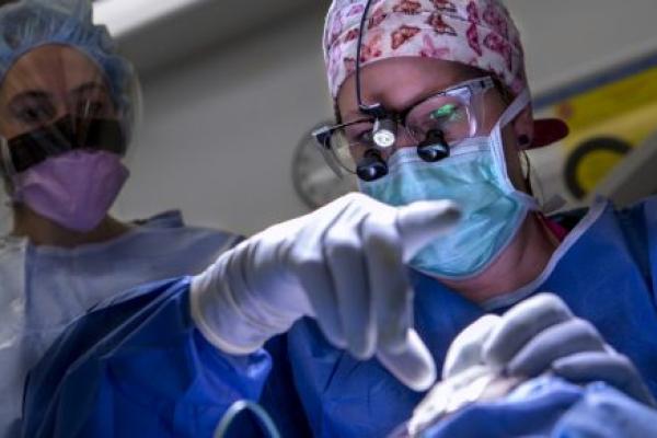 A surgeon and a colleague perform surgery on a patient. Both wear caps, masks, gowns and glasses.