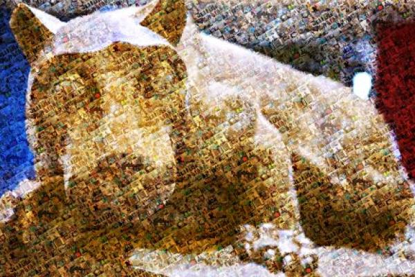 The Nittany Lion perches on its pedestal. The mosaic-style image is composed of individual photographs of Penn State Health employees.